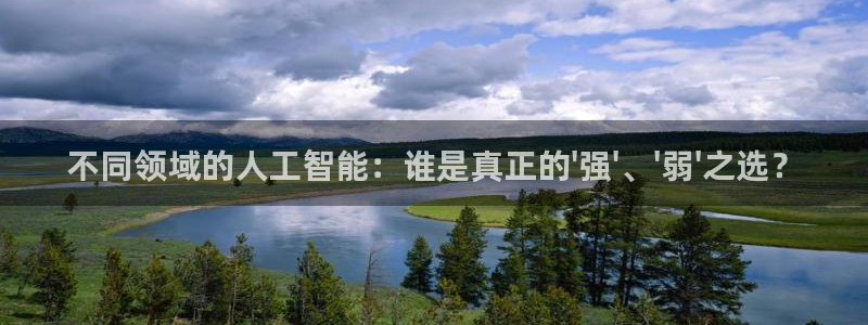 不同领域的人工智能：谁是真正的\'强\'、\'弱\'之选？