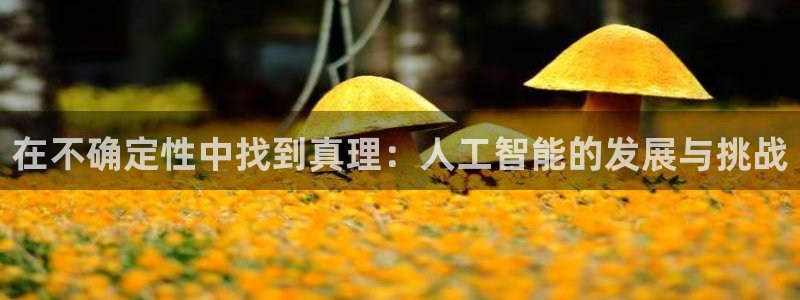 在不确定性中找到真理：人工智能的发展与挑战