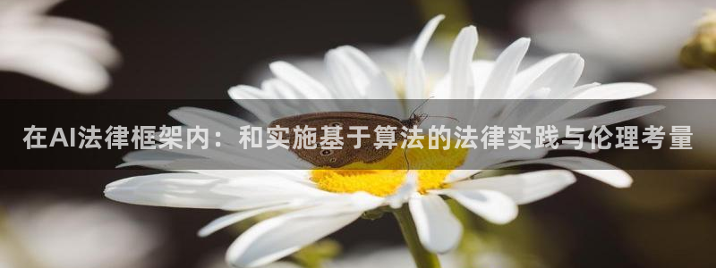 在AI法律框架内：和实施基于算法的法律实践与伦理考量