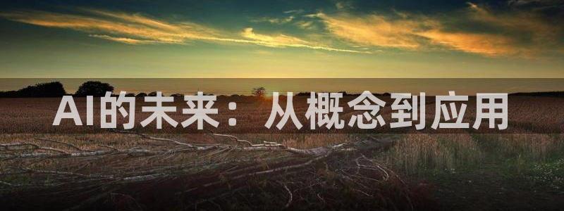 AI的未来：从概念到应用
