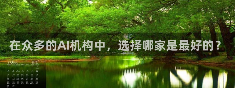 在众多的AI机构中，选择哪家是最好的？
