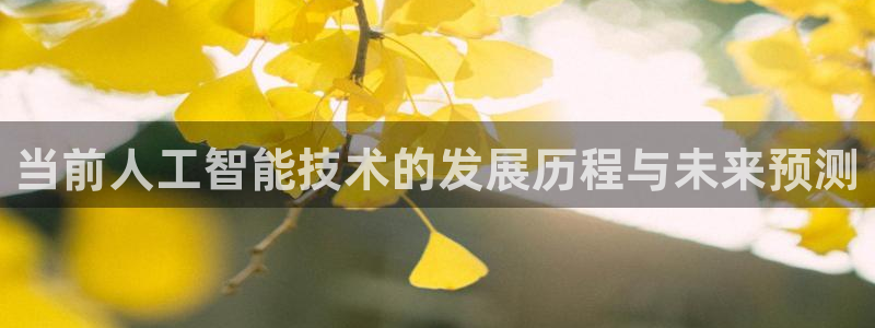 当前人工智能技术的发展历程与未来预测