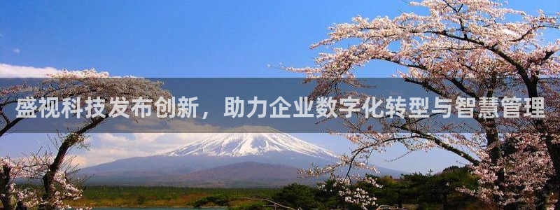 盛视科技发布创新，助力企业数字化转型与智慧管理