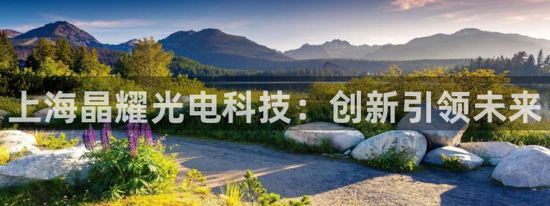 上海晶耀光电科技：创新引领未来