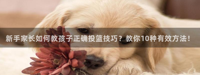 新手家长如何教孩子正确投篮技巧？教你10种有效方法！