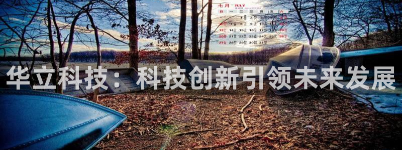 华立科技：科技创新引领未来发展