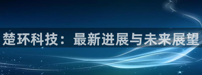 楚环科技：最新进展与未来展望