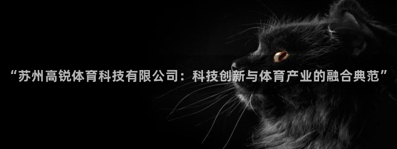 “苏州高锐体育科技有限公司：科技创新与体育产业的融合典范”